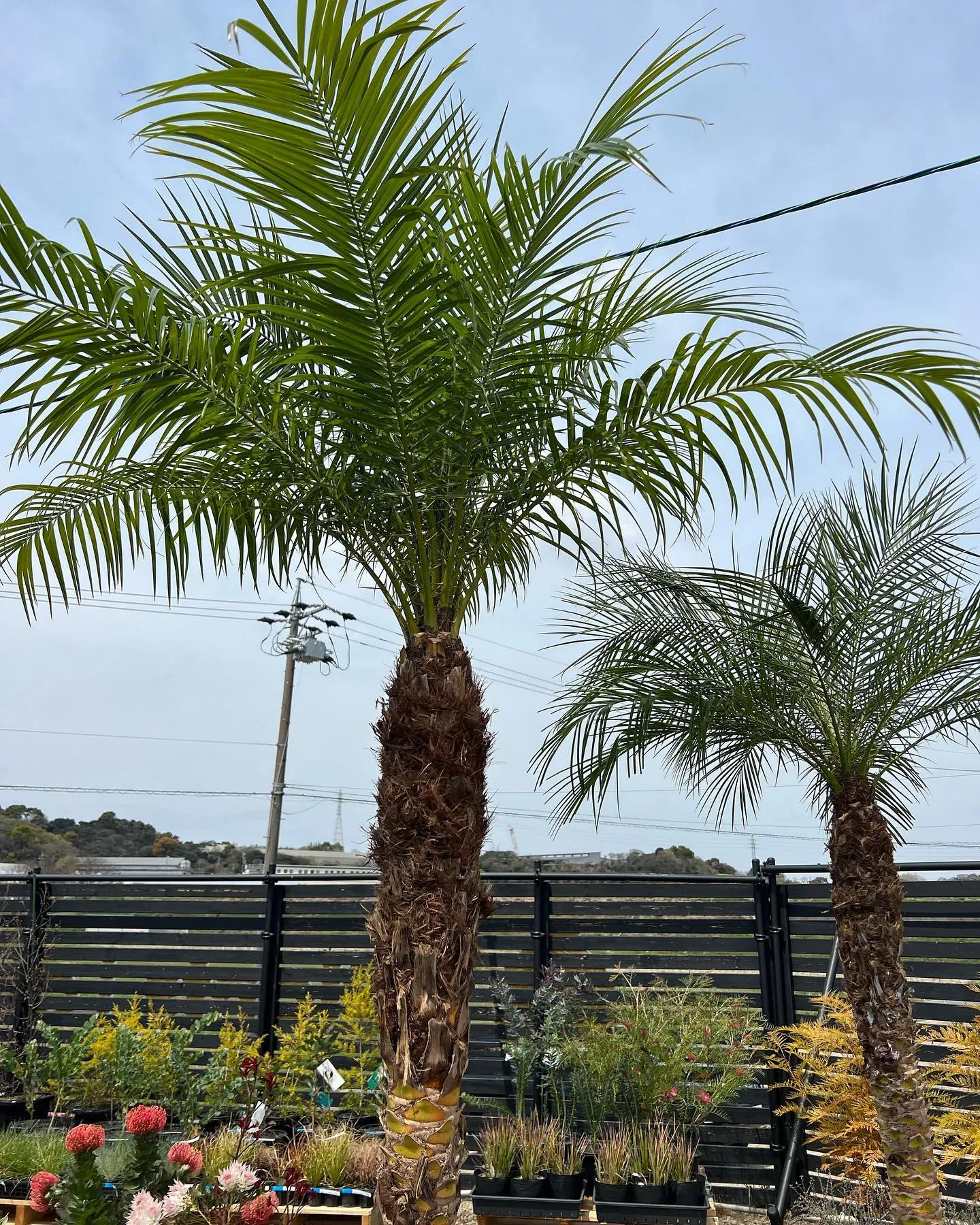 本日も沢山のお客様にご来店頂いております。