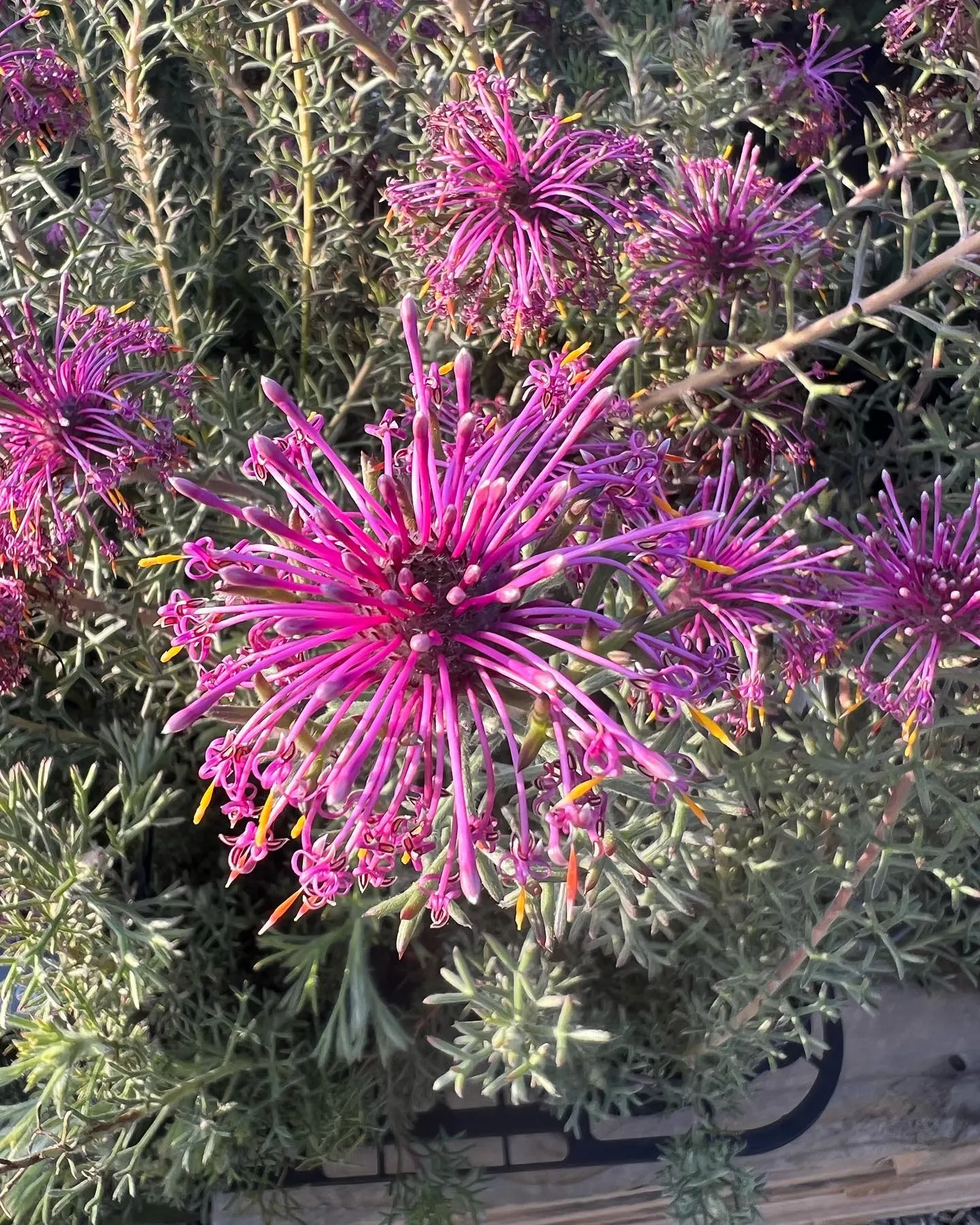 本日も沢山のご来店ありがとうございました。