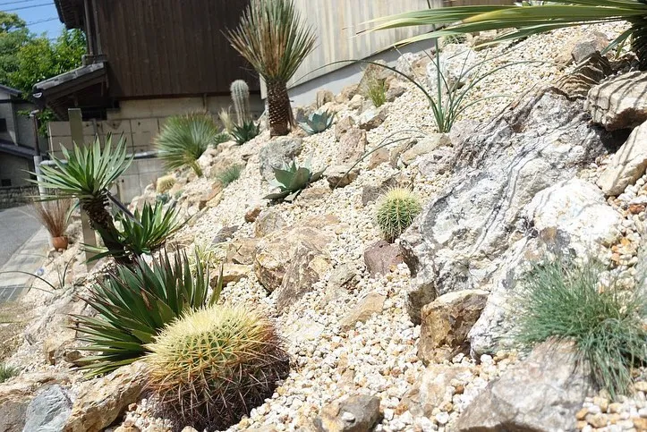 今月より火〜金曜も予約制となりますが来店が可能となりました。