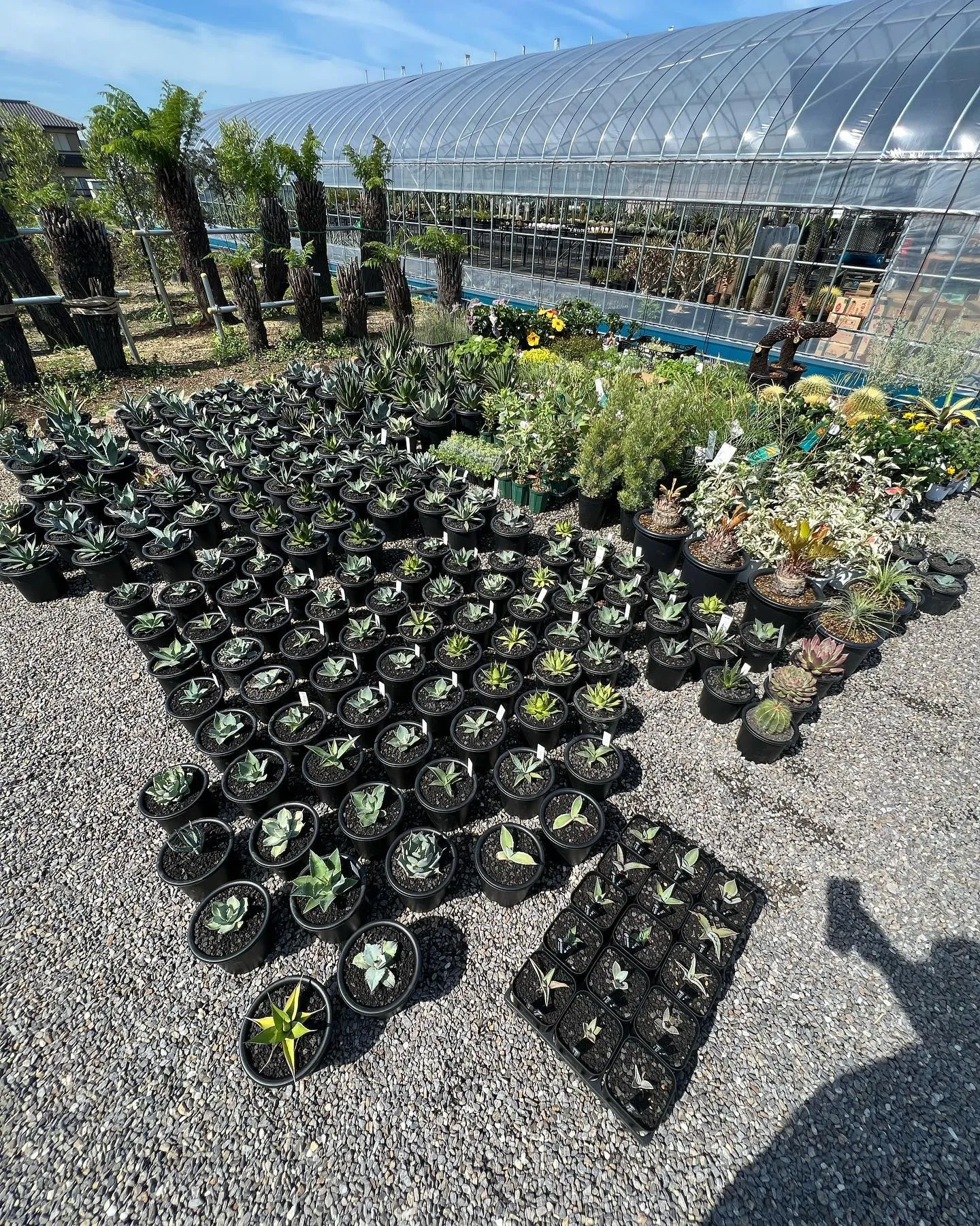 今週は色々と入荷しております。