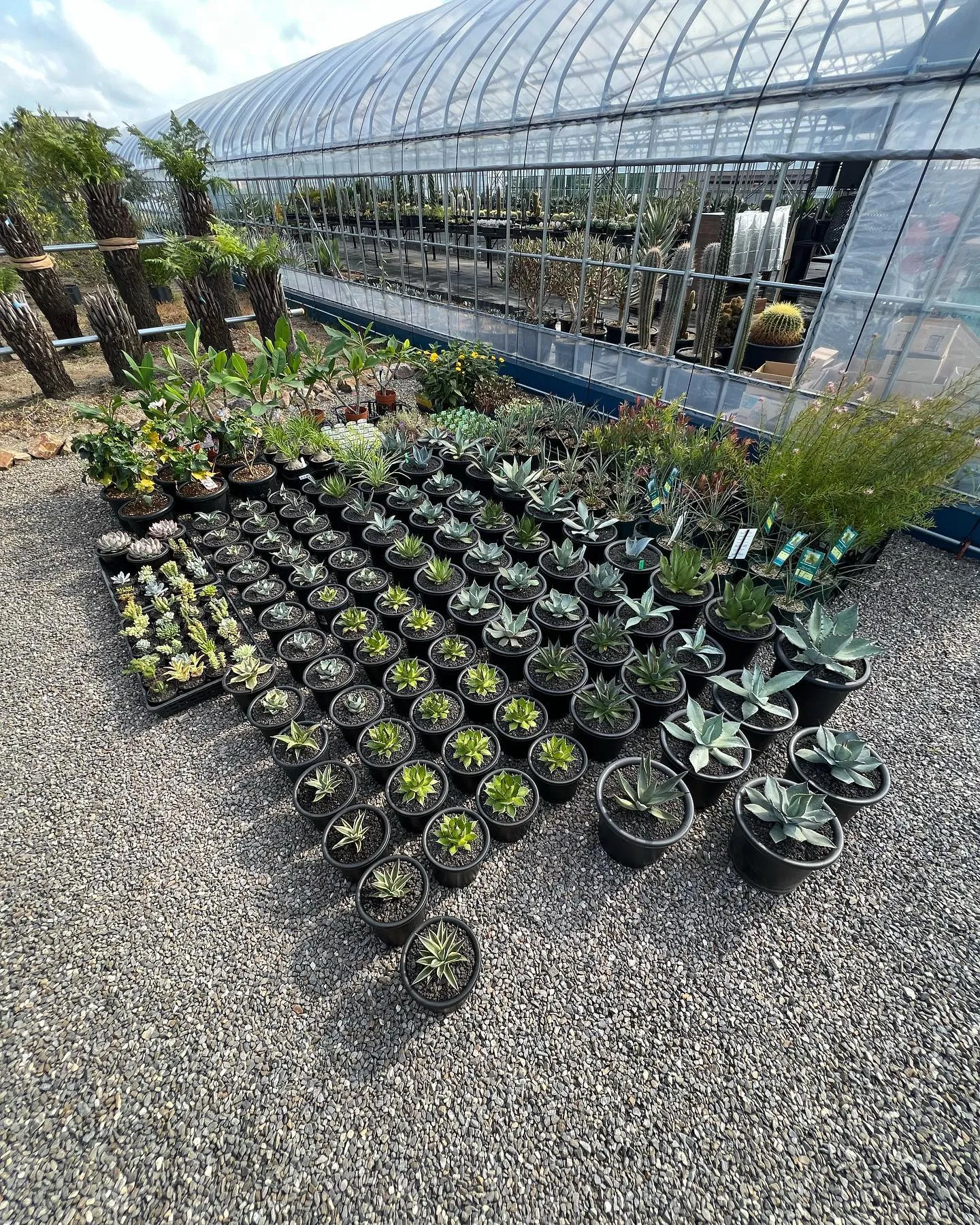 今週も色々と入荷です。