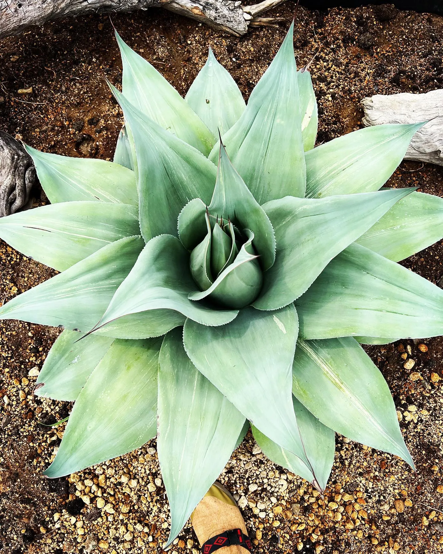 盗難の件たくさんのDMとコメントありがとうございます。