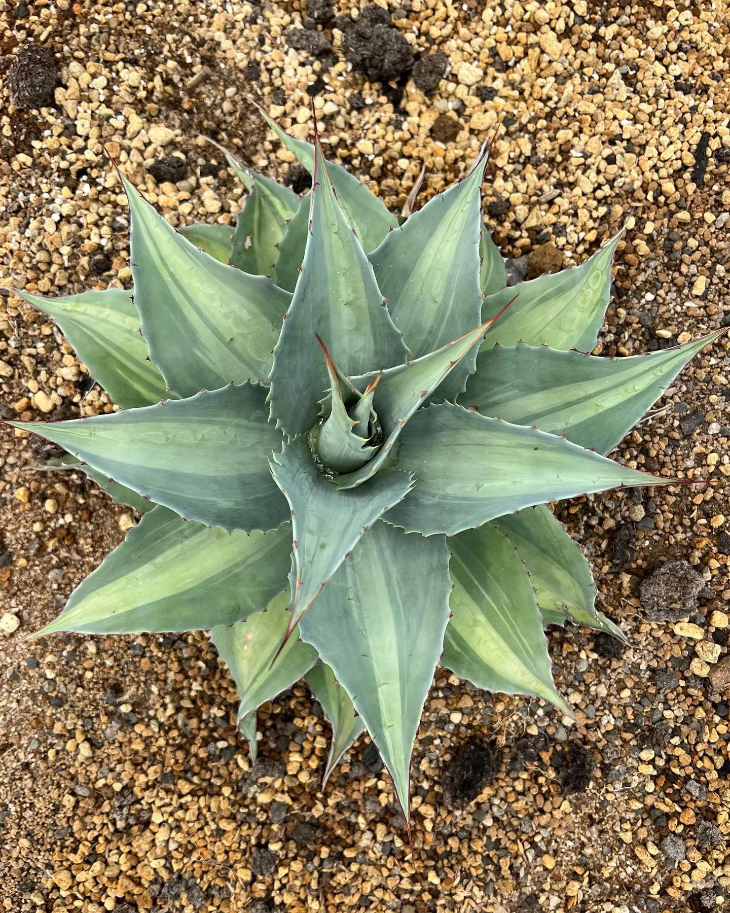 昨日はイベントの関係者の皆様、ご来場下さった皆様ありがとうご...