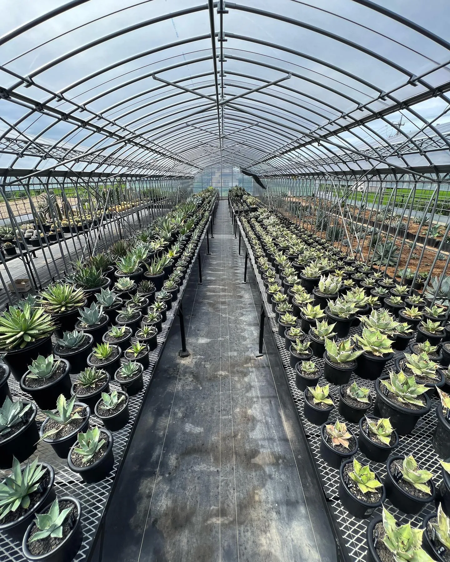 開店15分前に既に駐車場は満車。