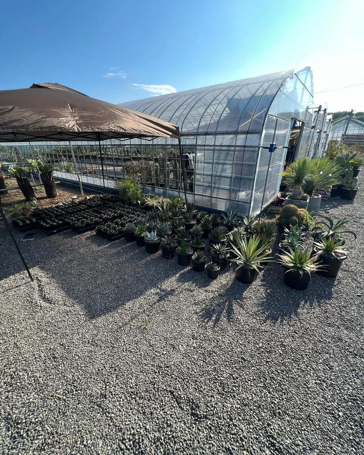 今週は中国便をメインに色々と入荷しております。