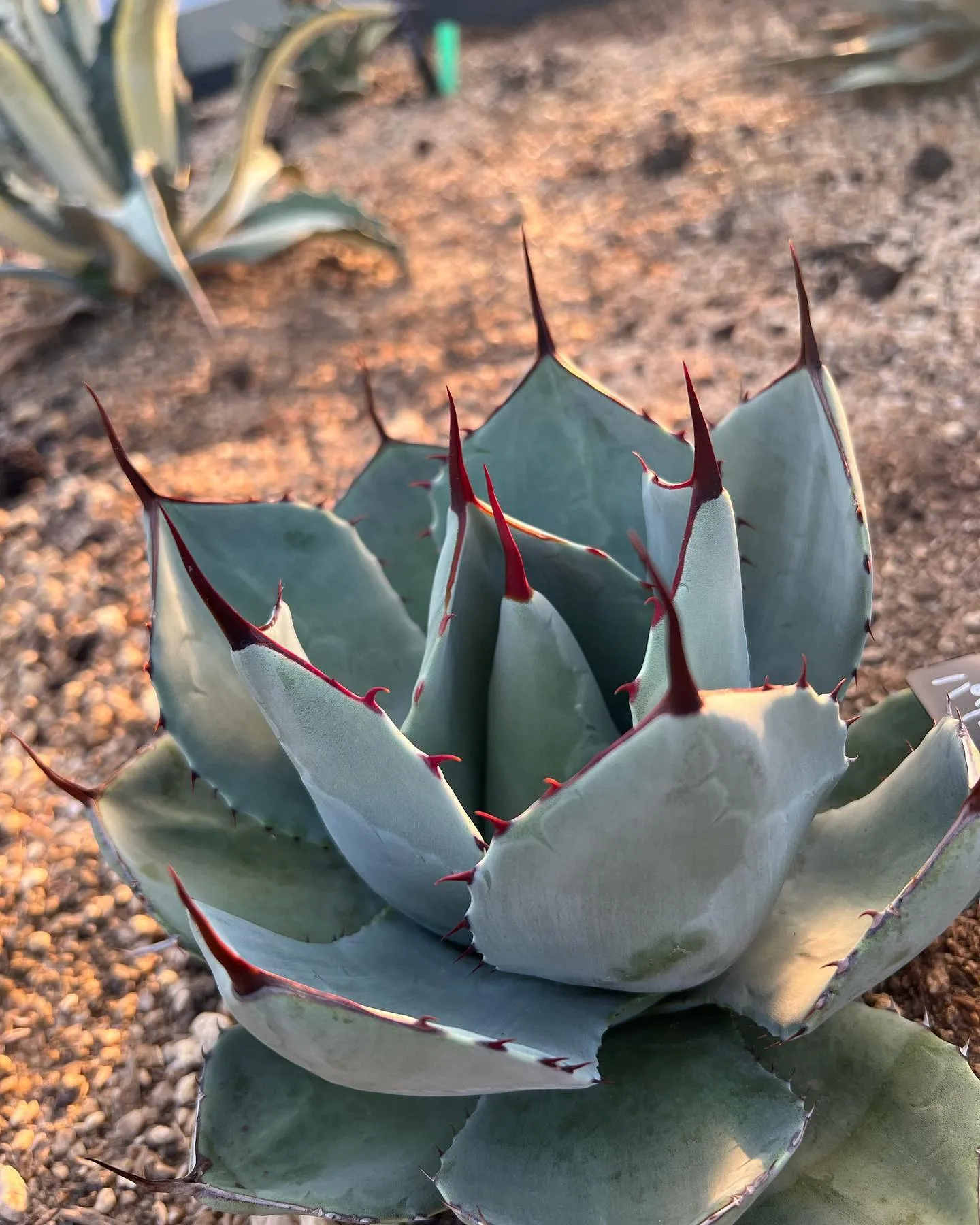 本日もご来店ありがとうございました。