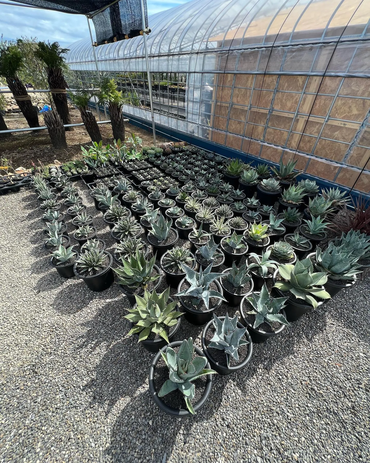 さて今週末はお盆ですが、お盆も関係なく営業します。