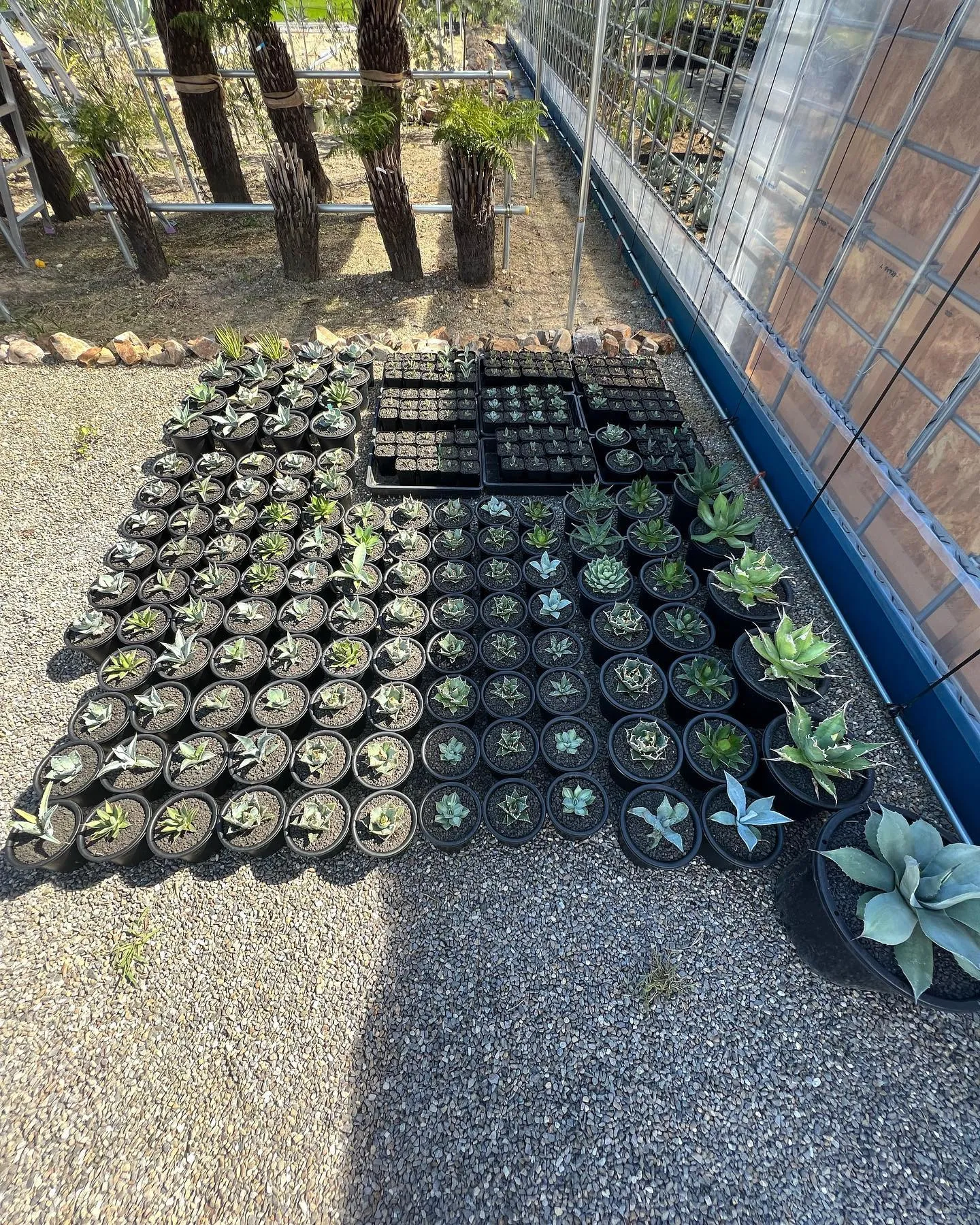 今週も色々と入荷しております。