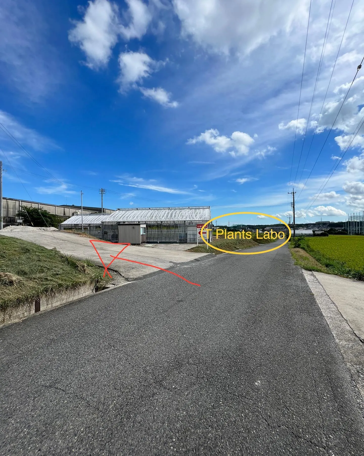 T Plants Labo1周年　駐車場のご案内です。