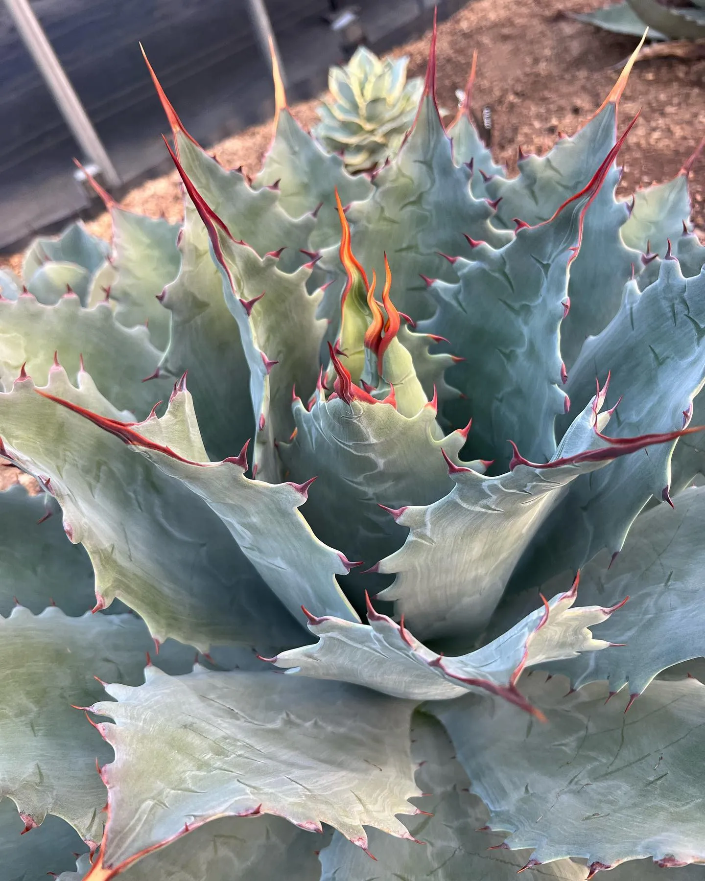 本日もご来店おまちしております。