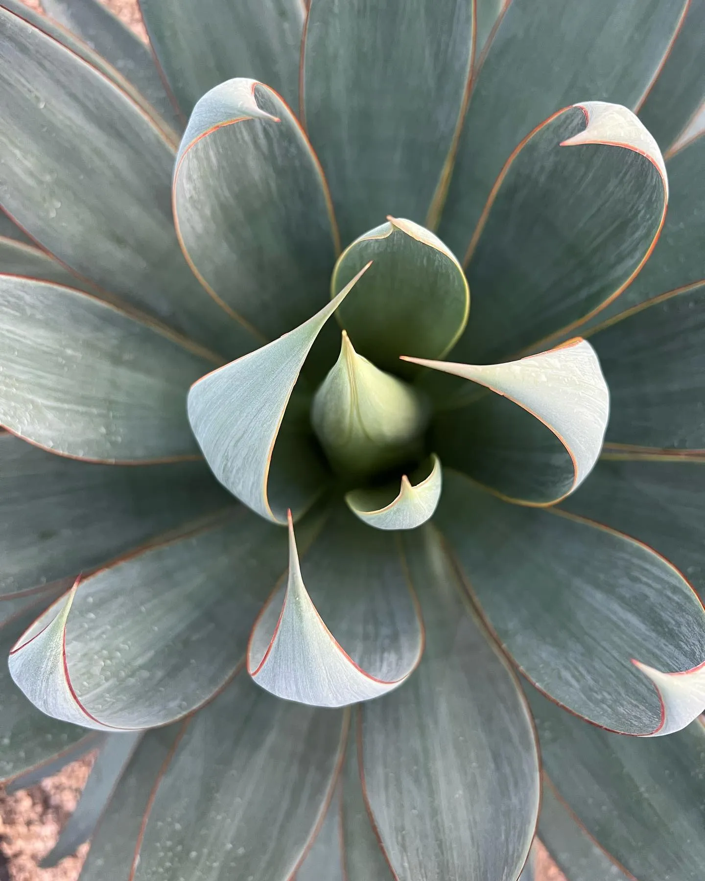 今日は寒いですね。