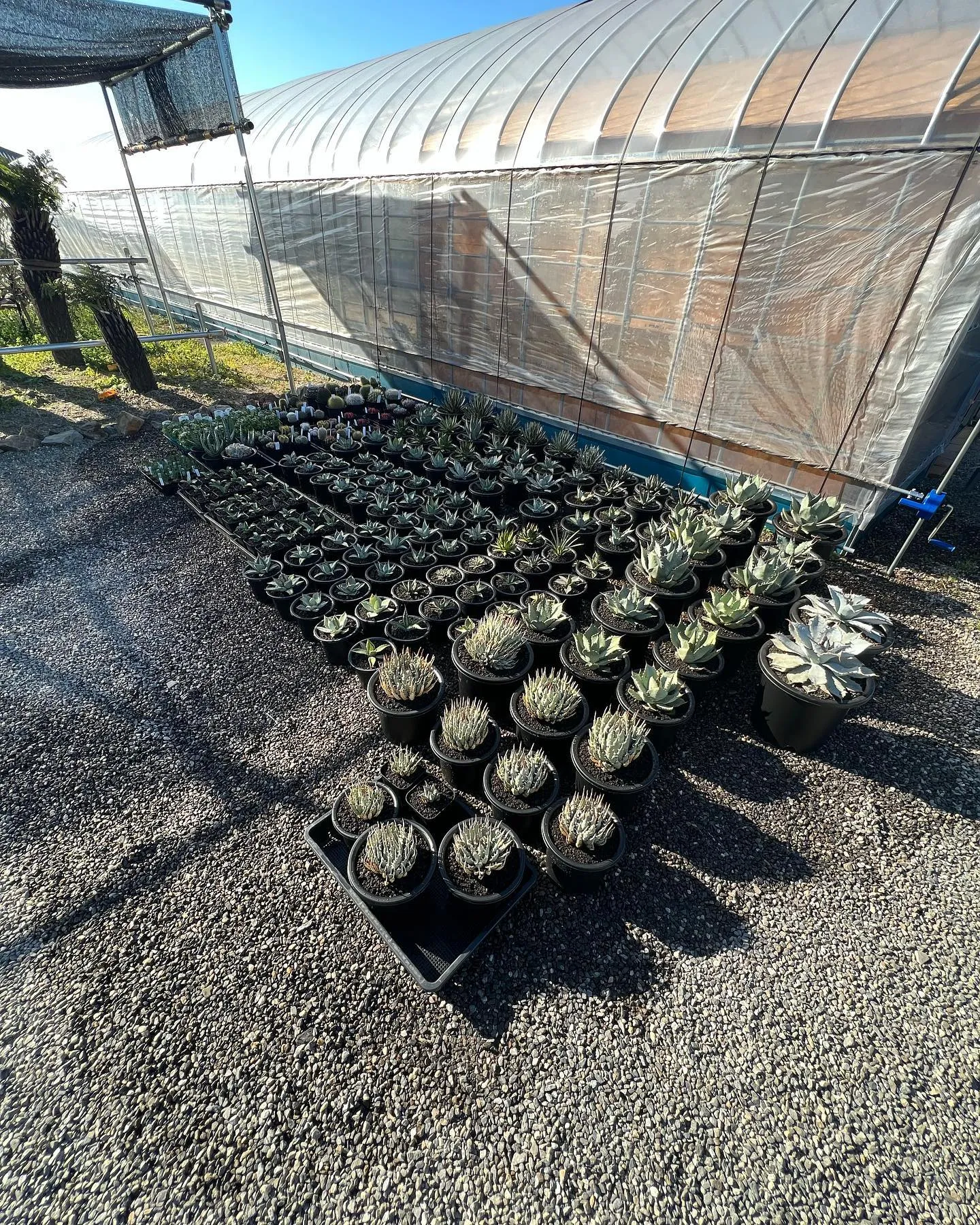 今週も色々と入荷しております。