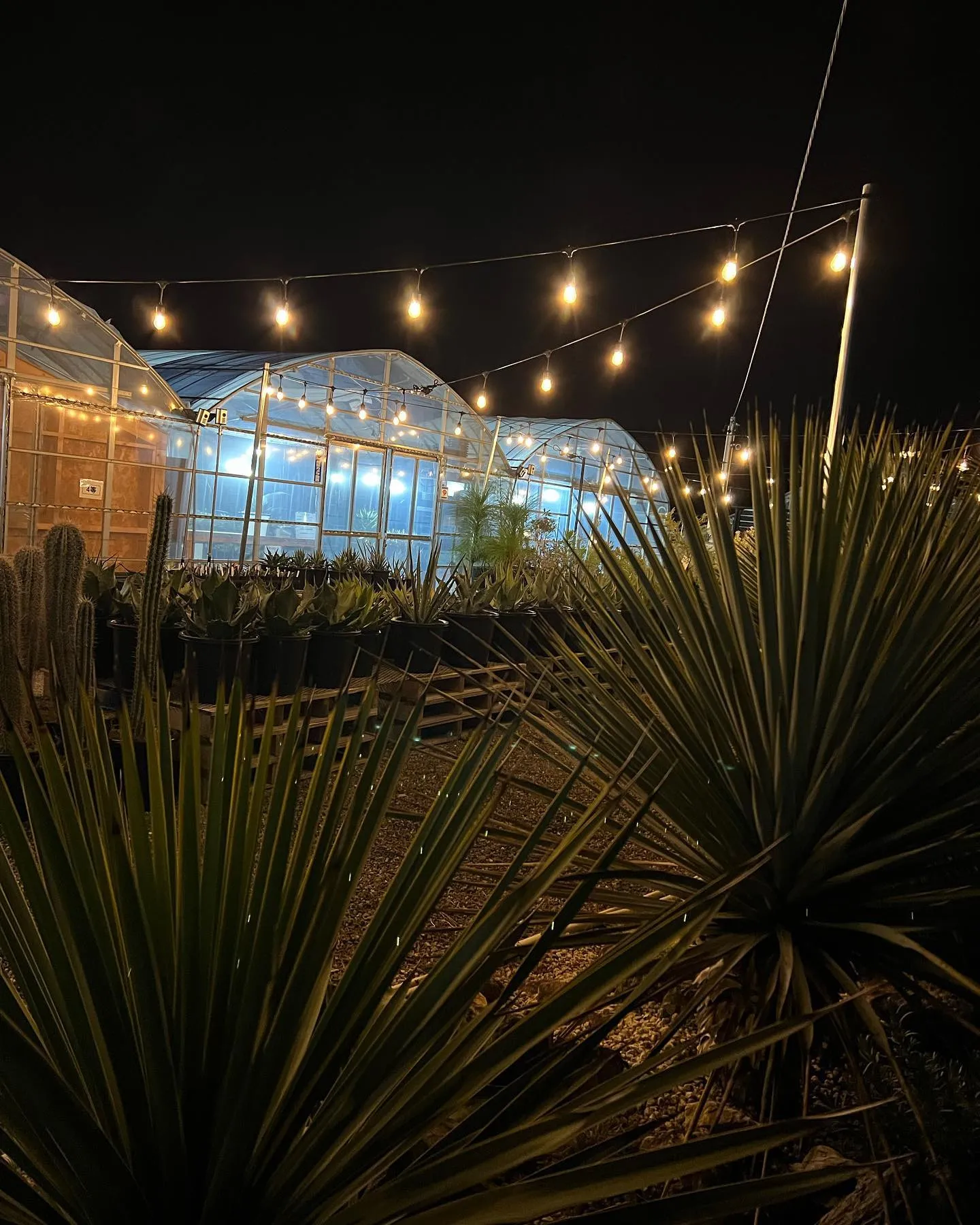 さて初売り初日、本日は新年早々朝から多数のご来店ありがとうご...