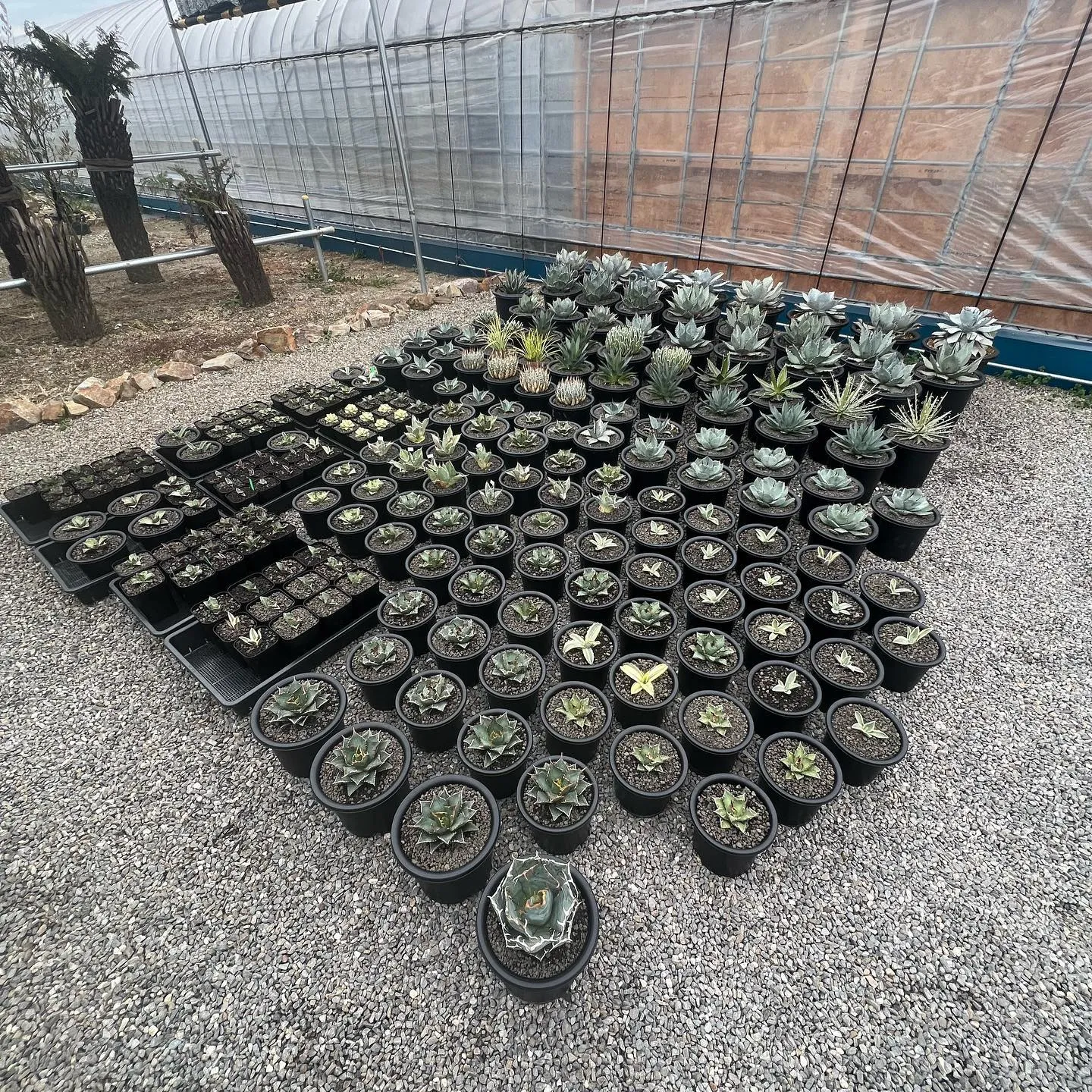 今週も色々と入荷です。