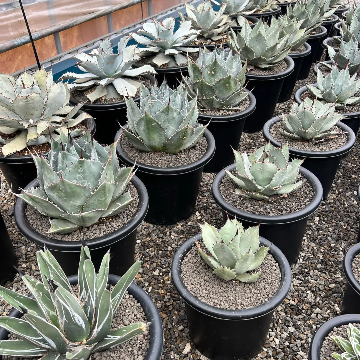 今週も色々と入荷です。