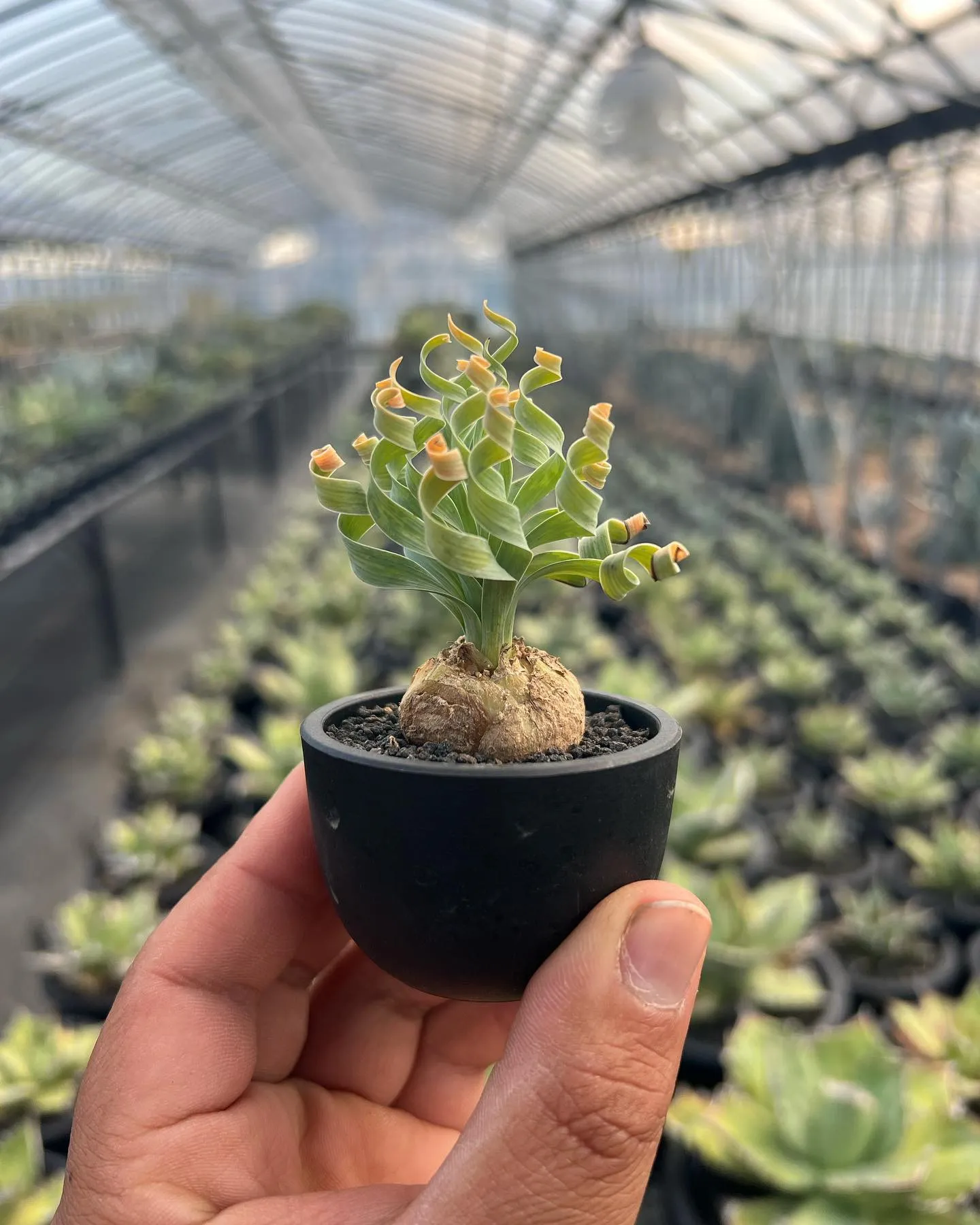 今週も多数のご来店ありがとうございました。