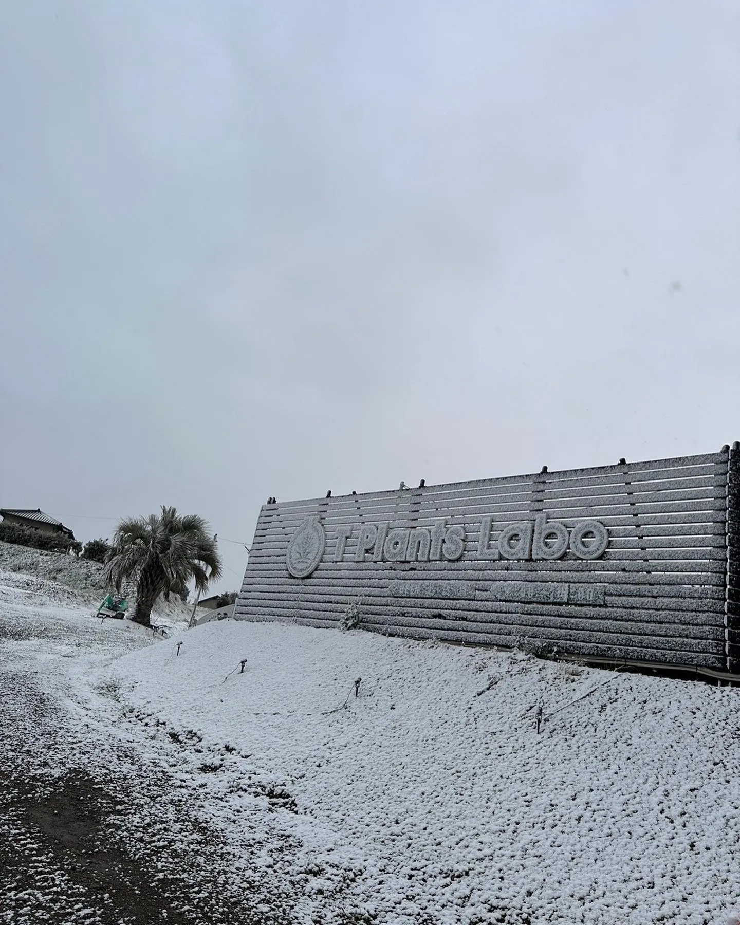 こんなに降ったの何年振りかなっていうぐらい雪が降りましたが、...