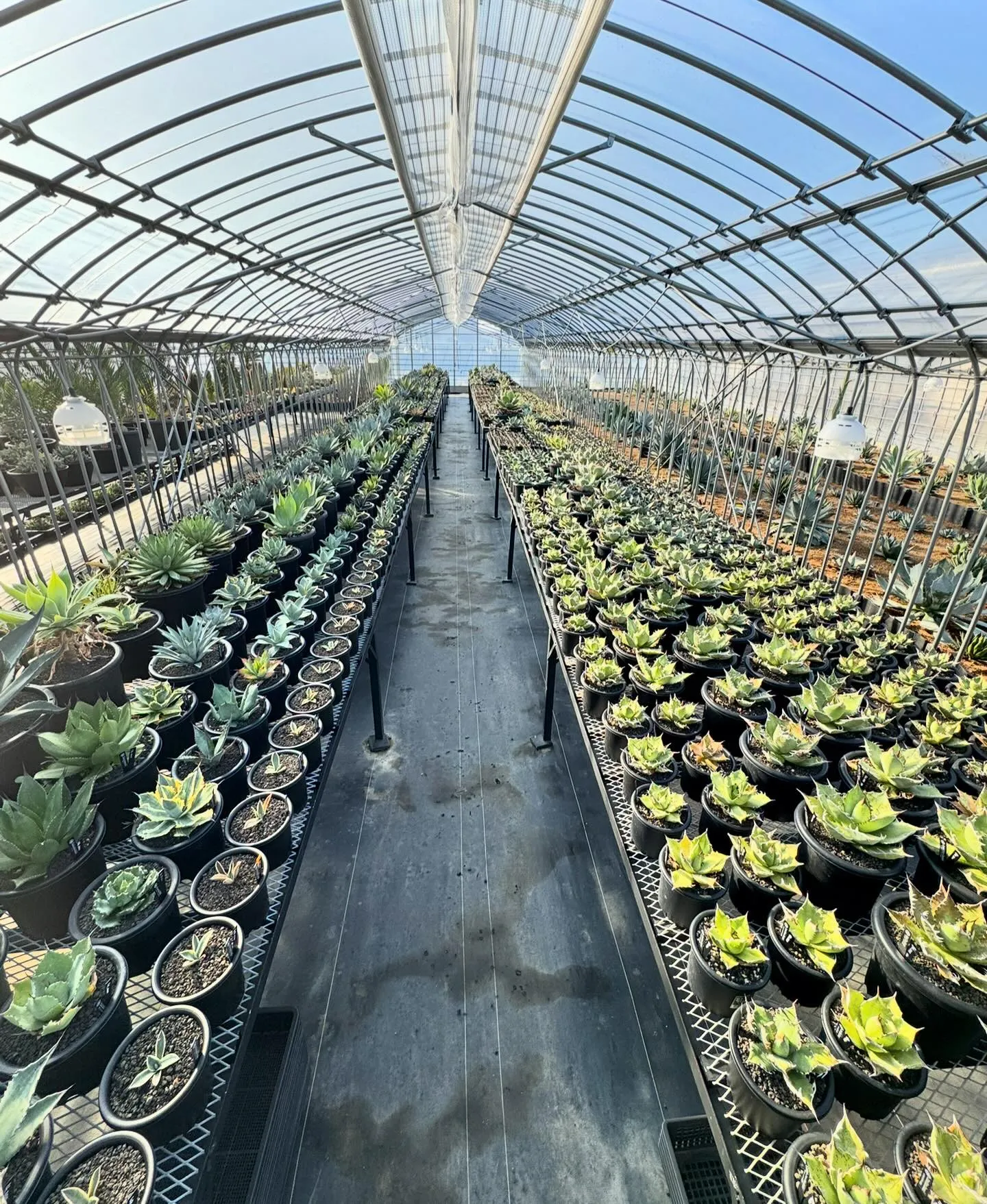 そろそろ春の気配も感じるこの頃、日々、在庫が増えていっており...