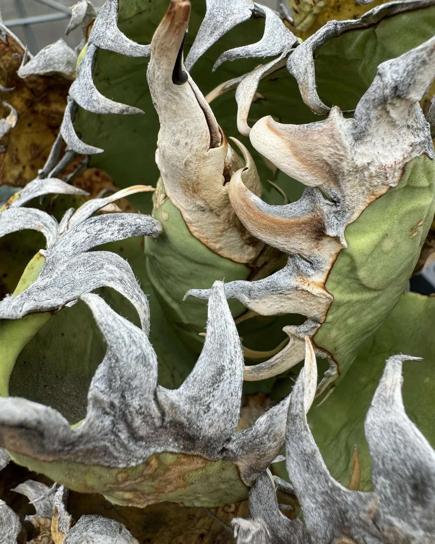 本日も雨の中朝から多数のご来店ありがとうございます。