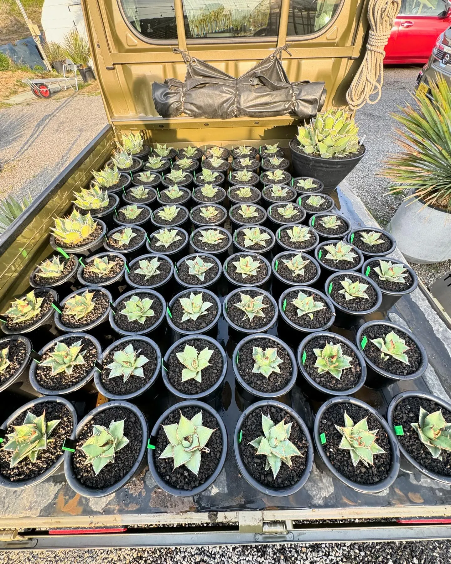 今日から3月ですね。