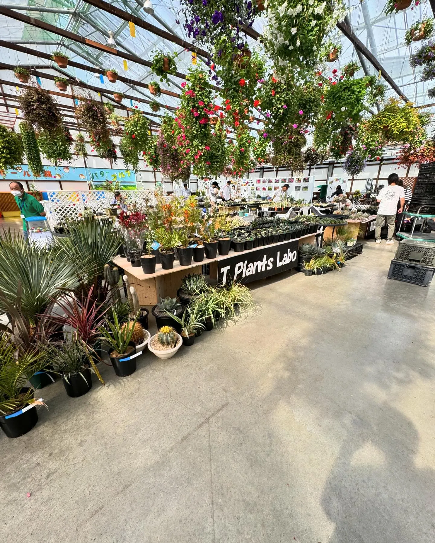 準備完了です。