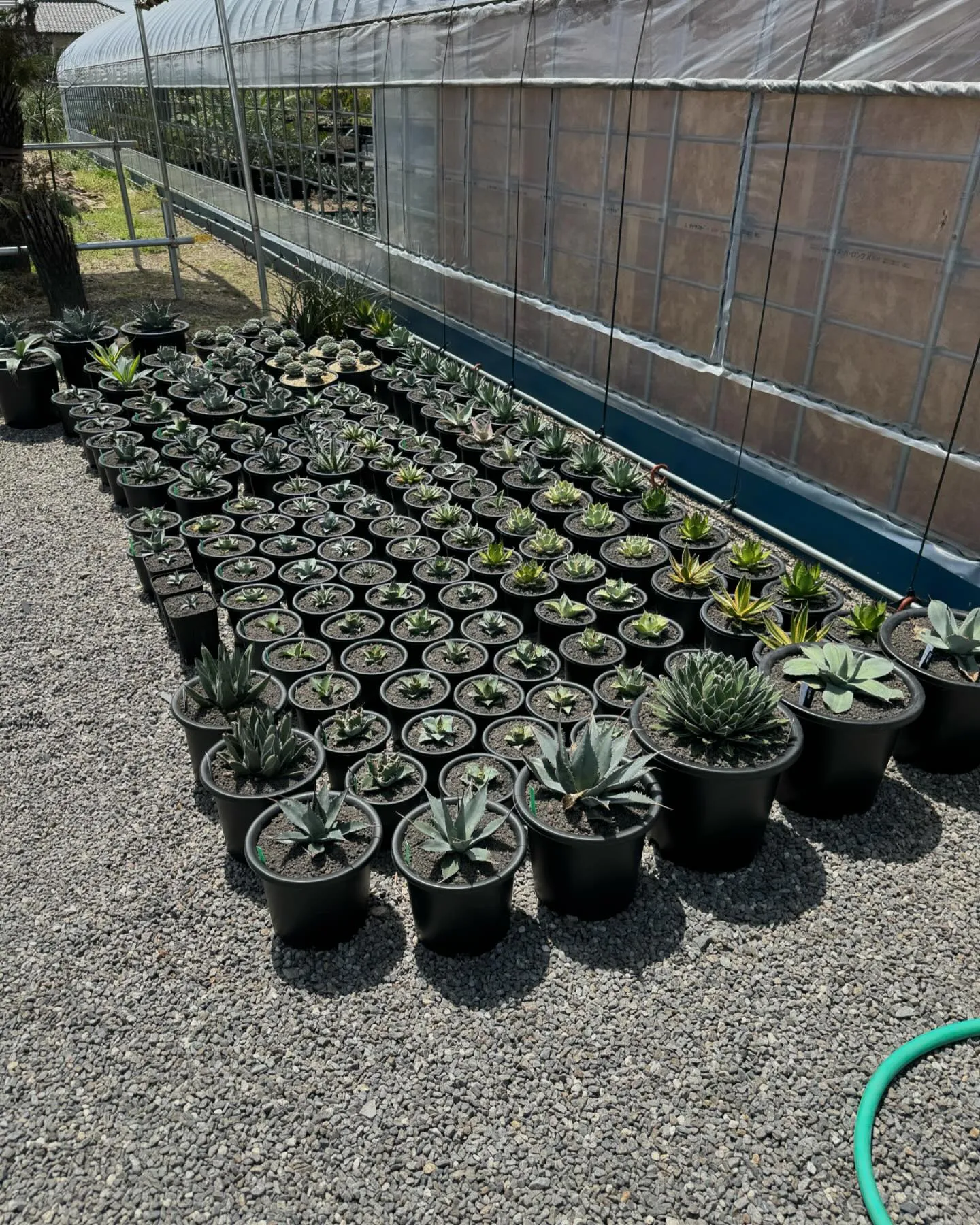 今週も色々と入荷しております。