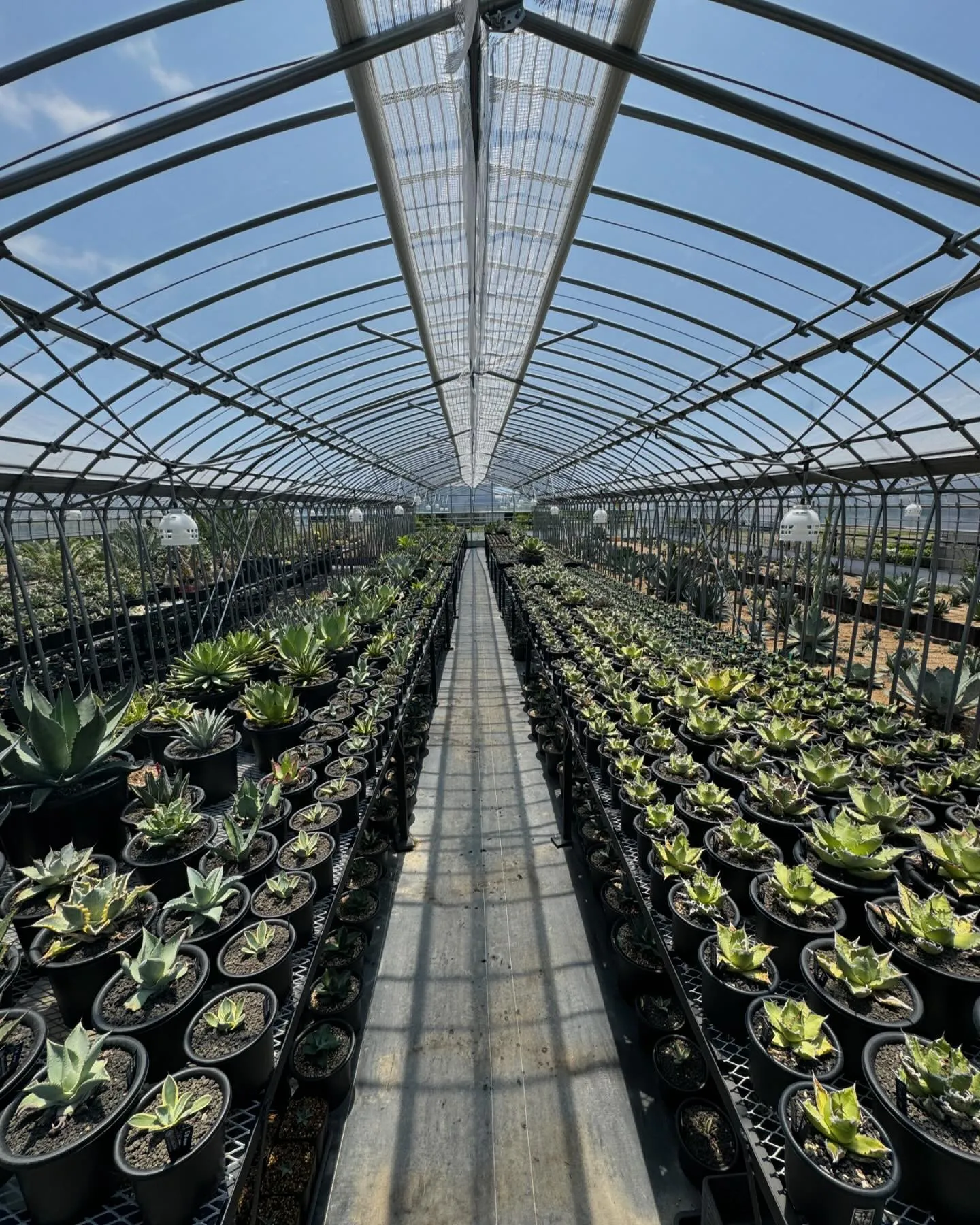 さてここ最近忙しく中々インスタの方ポスト出来ておりませんでし...