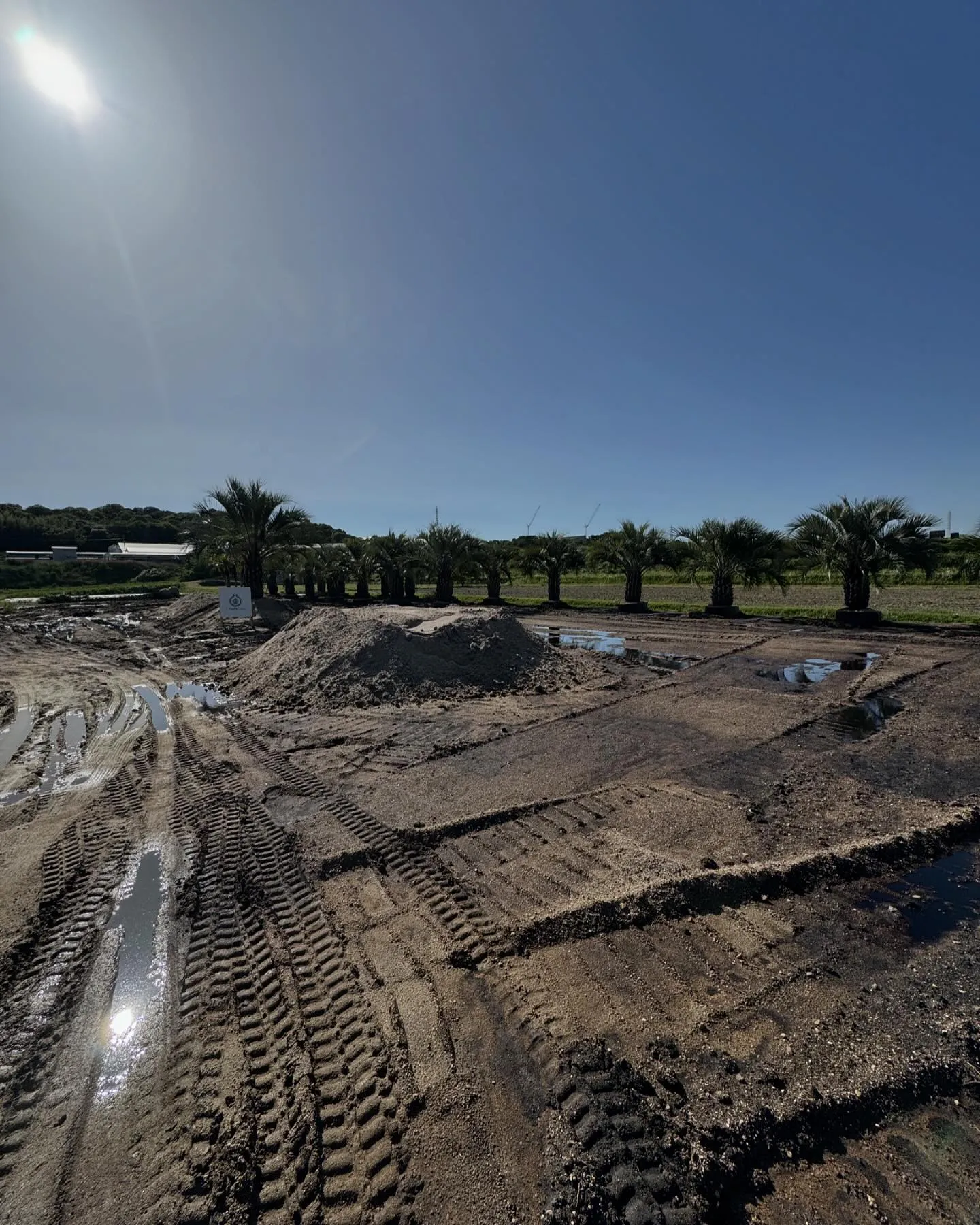 さて少しずつですがヤシエリアの方も準備の方進んでおります。