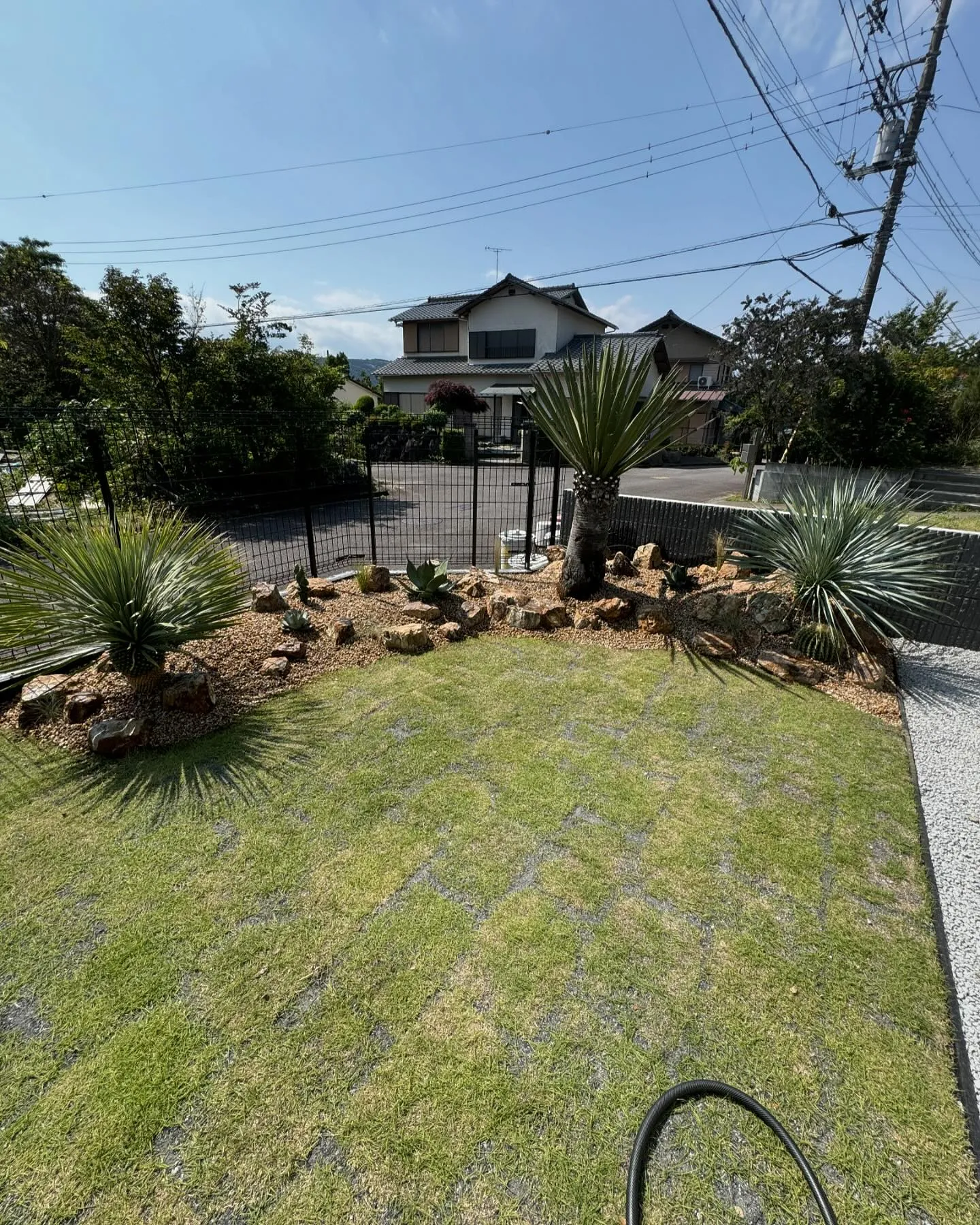 今日は植栽のご依頼を頂き、静岡の伊豆方面まで遠征でした。