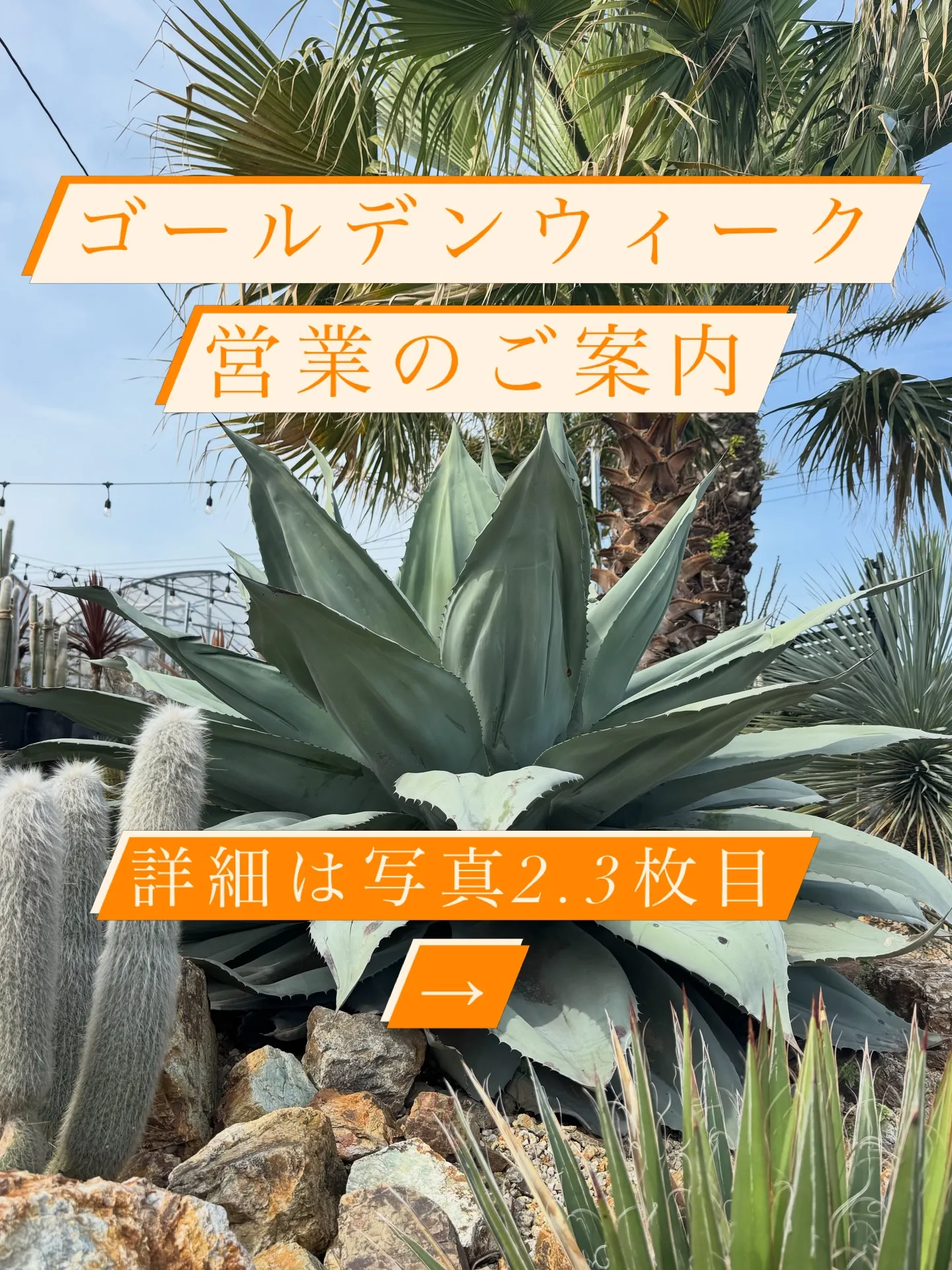 ゴールデンウィークの営業のご案内です。