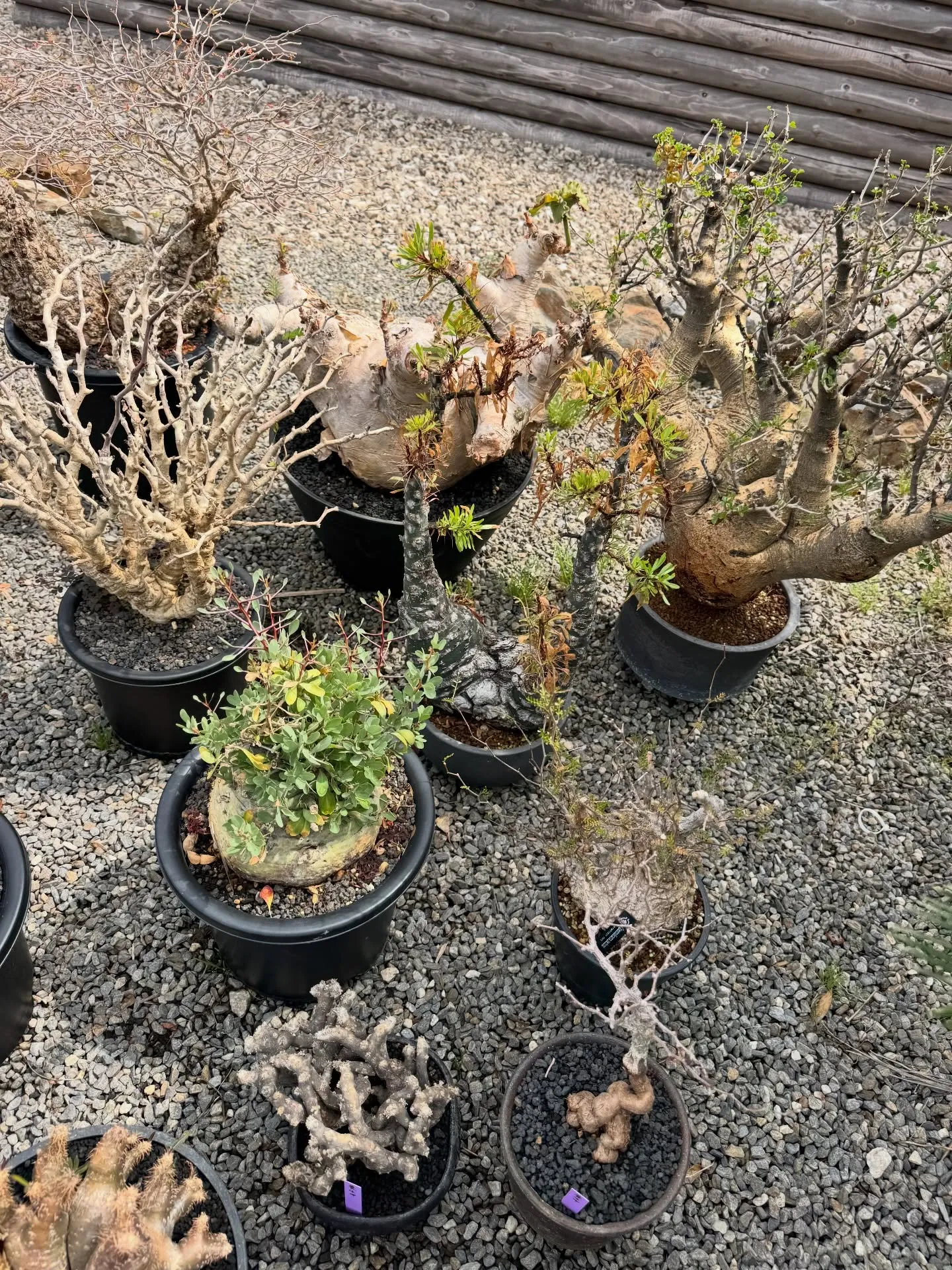今週も色々と入荷です。