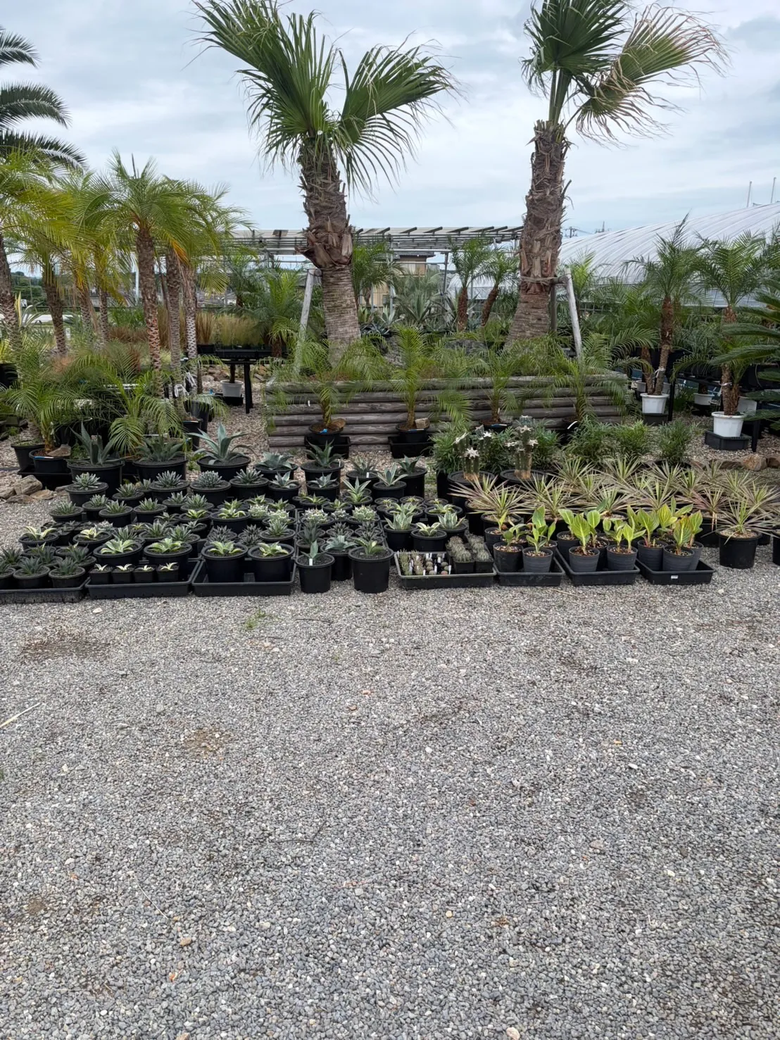 さて今週も色々と入荷しております。