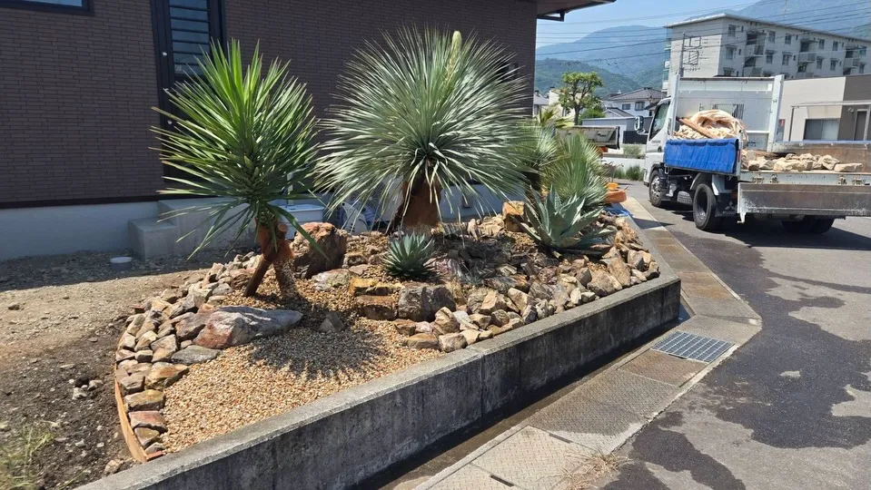 大物のユッカを使い植栽