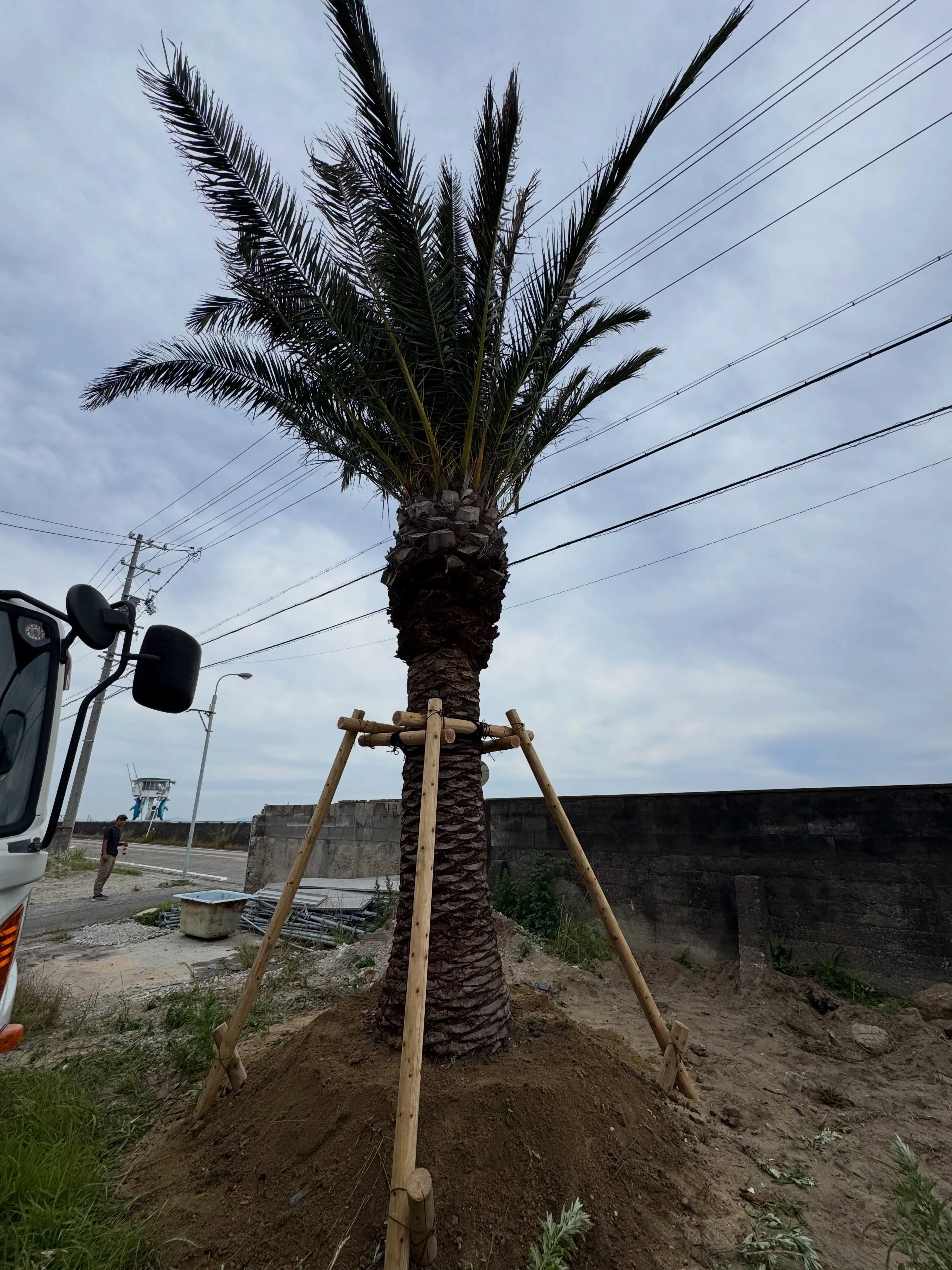 先日の現場