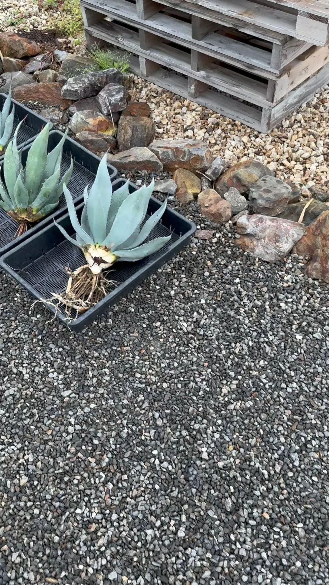 GW営業のご案内です。