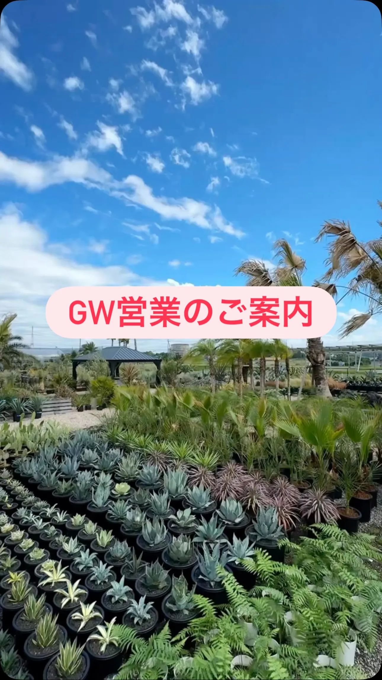 5/2〜5/6はGWセール🎉