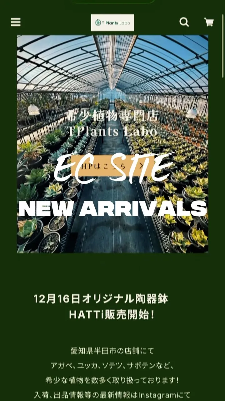ECサイト　