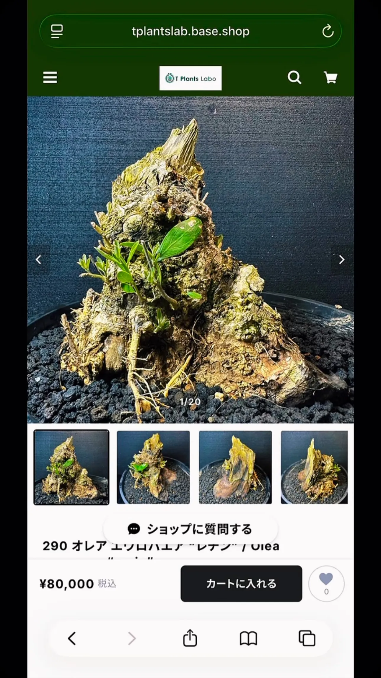 ECサイトの方商品追加しました。