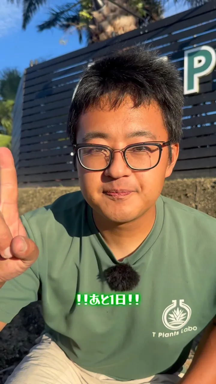 いよいよ明日から周年祭となります。